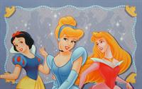 Disney b�rnet�ppe med prinsesser i gr�